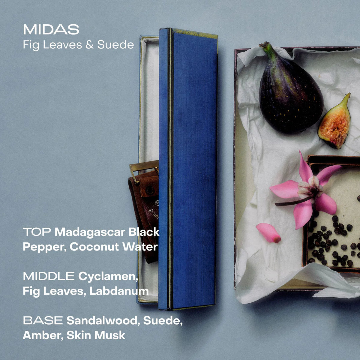 Sidia Mist - Midas