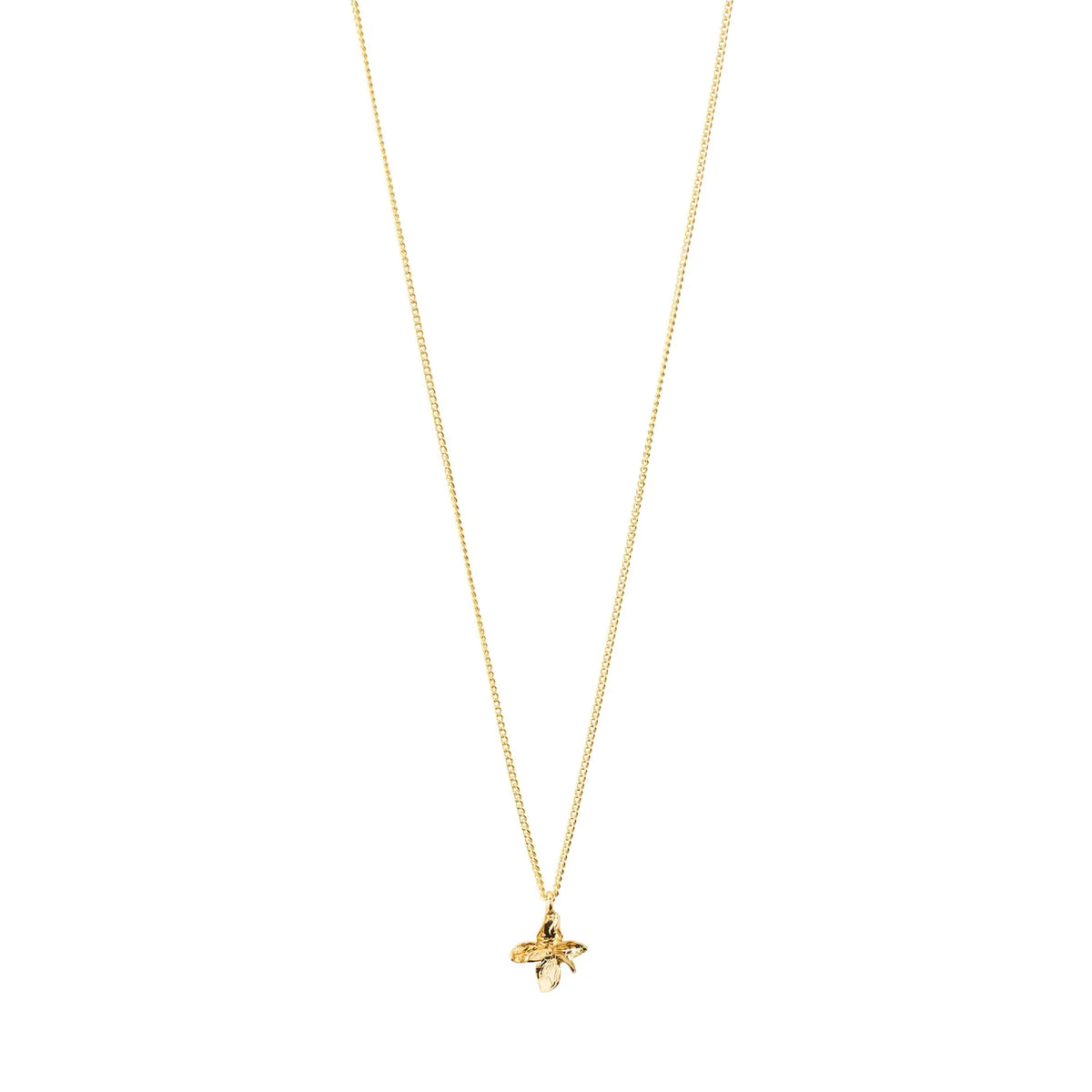 Trace Necklace - Pilgrim