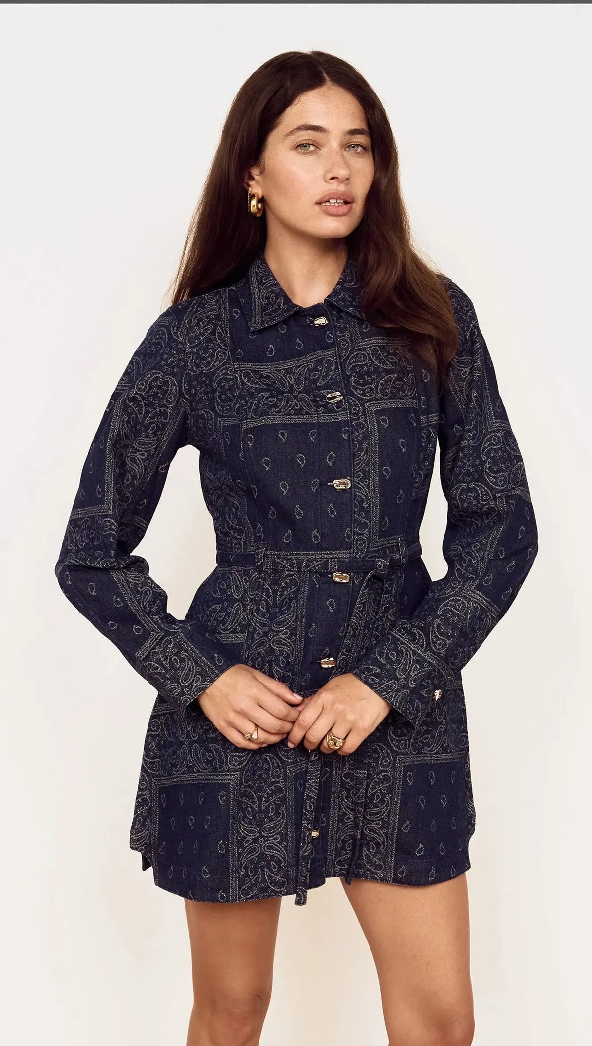 Delphi Jacquard Denim Dress - Indigo