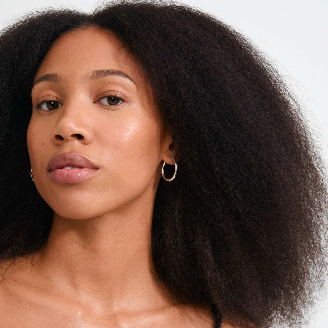 Inner Hoop Earrings - Pilgrim