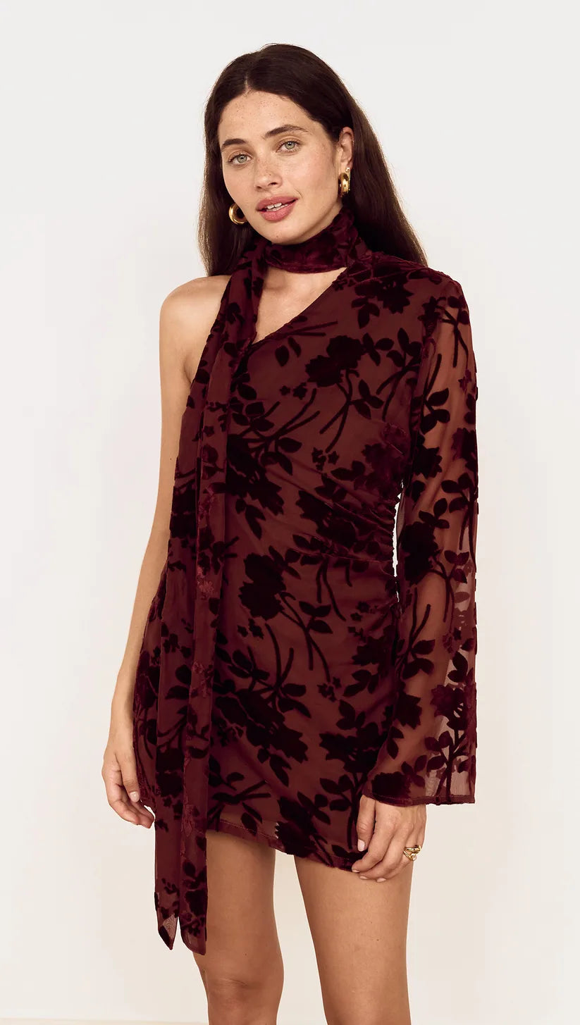 Anouk Velvet Scarf Mini Dress - Chocolate