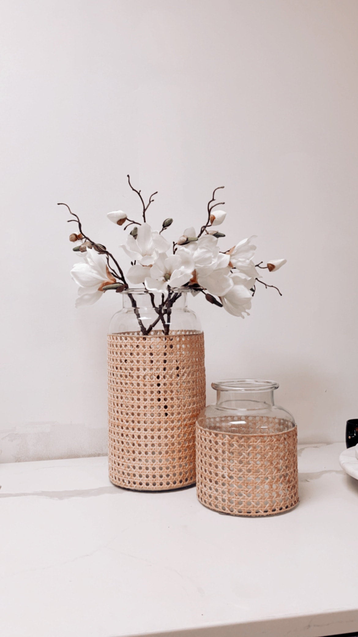 Cane Vase - Short